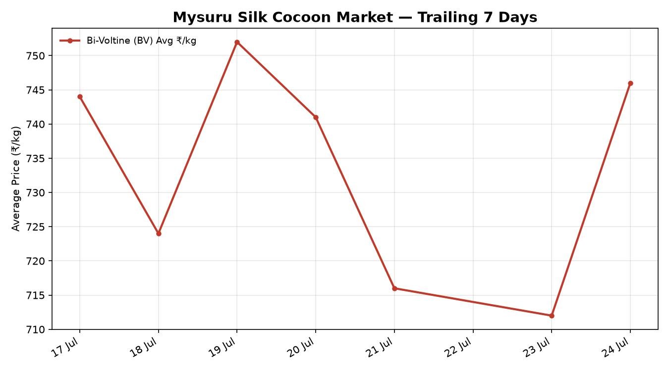 Mysuru Silk Cocoon Market 7-Day Trend – 24 July 2026