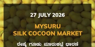 Mysuru Silk Cocoon Market – 27 July 2026 Mysuru Silk Cocoon Market Rates – 27 July 2026