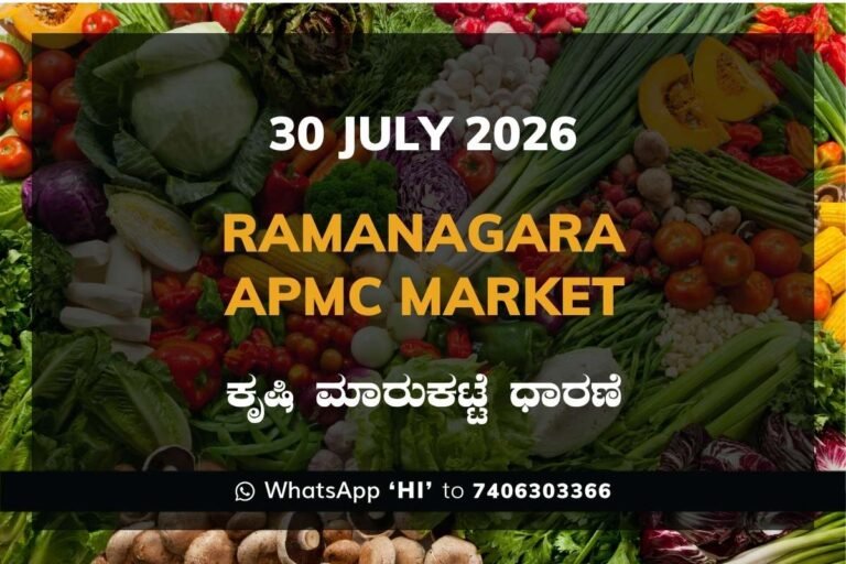 Ramanagara APMC Market Rates – 30 July 2026