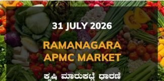Ramanagara APMC Agriculture Market: 31 July 2026 Ramanagara APMC Market Rates – 31 July 2026