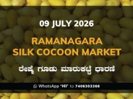Ramanagara Silk Cocoon Market – 09 July 2026 Ramanagara Silk Cocoon Market Rates – 09 July 2026