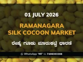 Ramanagara Silk Cocoon Market – 1 July 2026 Ramanagara Silk Cocoon Market Rates – 1 July 2026