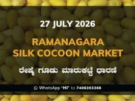 Ramanagara Silk Cocoon Market Rates – 27 July 2026
