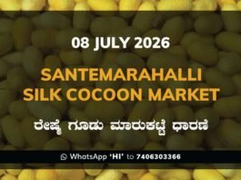 Santemarahalli Silk Cocoon Market – 08 July 2026 Santemarahalli Silk Cocoon Market Rates – 08 July 2026