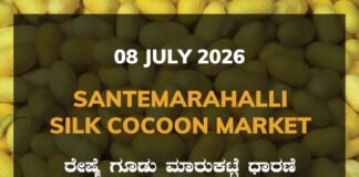 Santemarahalli Silk Cocoon Market – 08 July 2026 Santemarahalli Silk Cocoon Market Rates – 08 July 2026