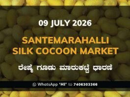 Santemarahalli Silk Cocoon Market Rates – 09 July 2026