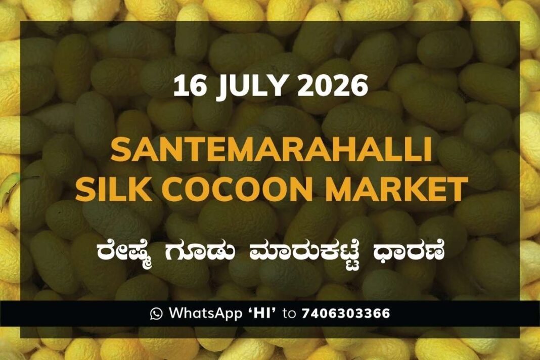 Santemarahalli Silk Cocoon Market Rates – 16 July 2026