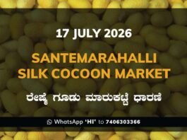 Santemarahalli Silk Cocoon Market Rates – 17 July 2026