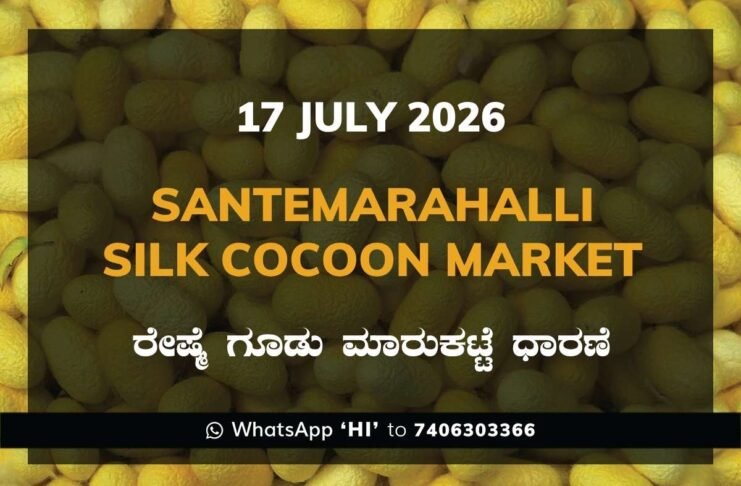 Santemarahalli Silk Cocoon Market Rates – 17 July 2026
