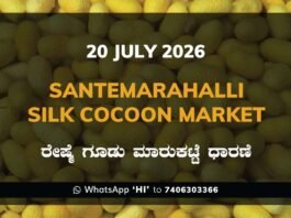 Santemarahalli Silk Cocoon Market Rates – 20 July 2026