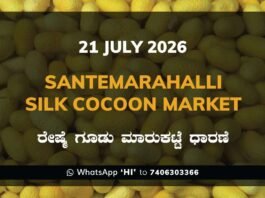 Santemarahalli Silk Cocoon Market Rates – 21 July 2026