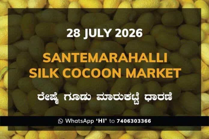 Santemarahalli Silk Cocoon Market Rates – 28 July 2026