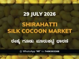 Shirahatti Silk Cocoon Market Rates – 29 July 2026