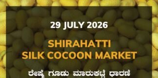 Shirahatti Silk Cocoon Market – 29 July 2026 Shirahatti Silk Cocoon Market Rates – 29 July 2026