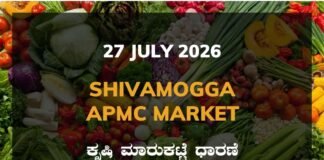 Shivamogga APMC Agriculture Market: 27 July 2026 Shivamogga APMC Market Rates – 27 July 2026