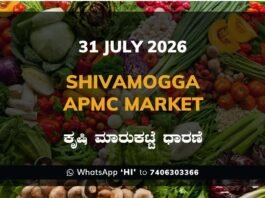 Shivamogga APMC Market Rates – 31 July 2026