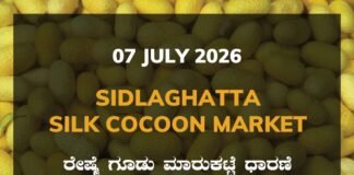 Sidlaghatta Silk Cocoon Market – 07 July 2026 Sidlaghatta Silk Cocoon Market Rates – 07 July 2026