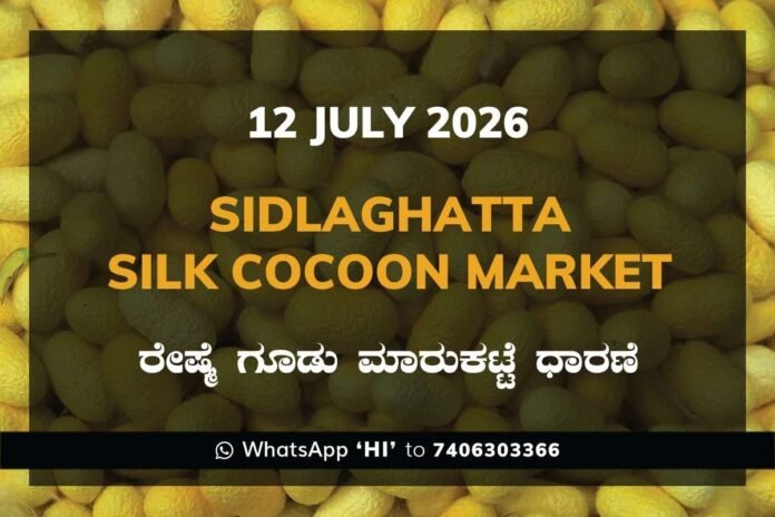 Sidlaghatta Silk Cocoon Market Rates – 12 July 2026