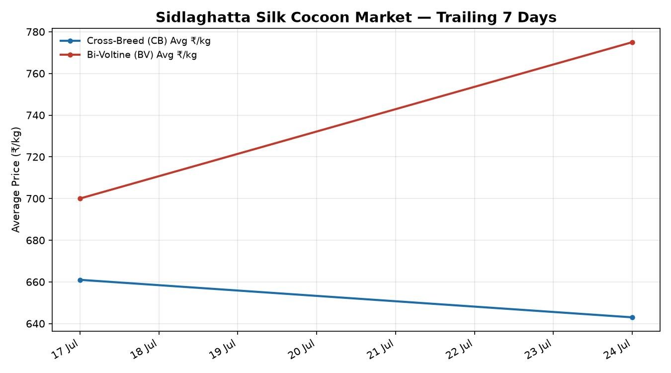 Sidlaghatta Silk Cocoon Market 7-Day Trend – 24 July 2026