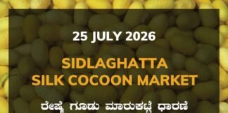 Sidlaghatta Silk Cocoon Market – 25 July 2026 Sidlaghatta Silk Cocoon Market Rates – 25 July 2026