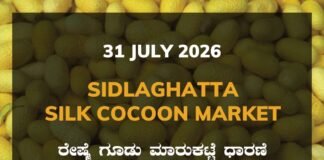 Sidlaghatta Silk Cocoon Market – 31 July 2026 Sidlaghatta Silk Cocoon Market Rates – 31 July 2026