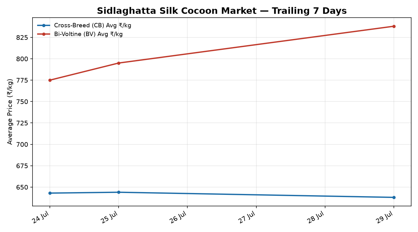 Sidlaghatta silk cocoon price trend