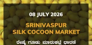 Srinivaspur Silk Cocoon Market – 08 July 2026 Srinivaspur Silk Cocoon Market Rates – 08 July 2026
