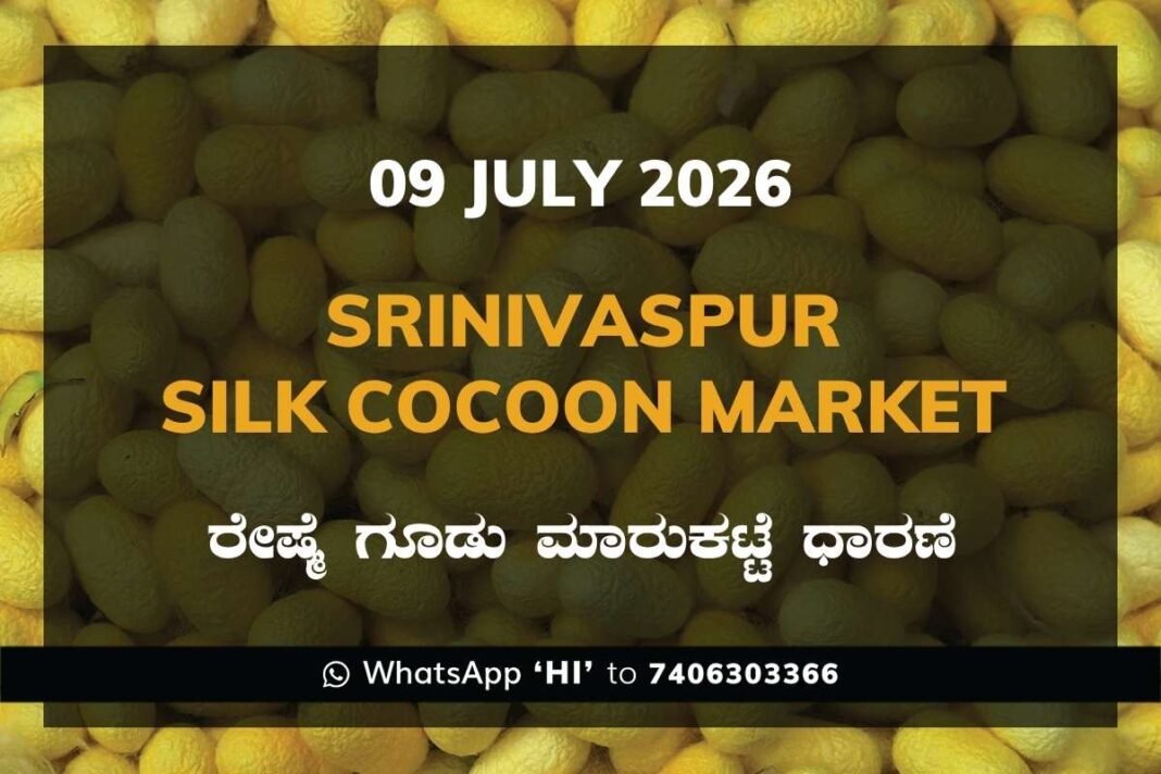 Srinivaspur Silk Cocoon Market Rates – 09 July 2026