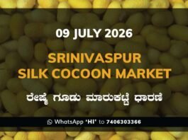 Srinivaspur Silk Cocoon Market Rates – 09 July 2026