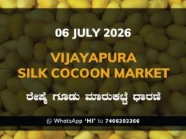 Vijayapura Silk Cocoon Market – 06 July 2026 Vijayapura Silk Cocoon Market Rates – 06 July 2026