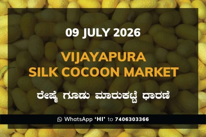 Vijayapura Silk Cocoon Market Rates – 09 July 2026