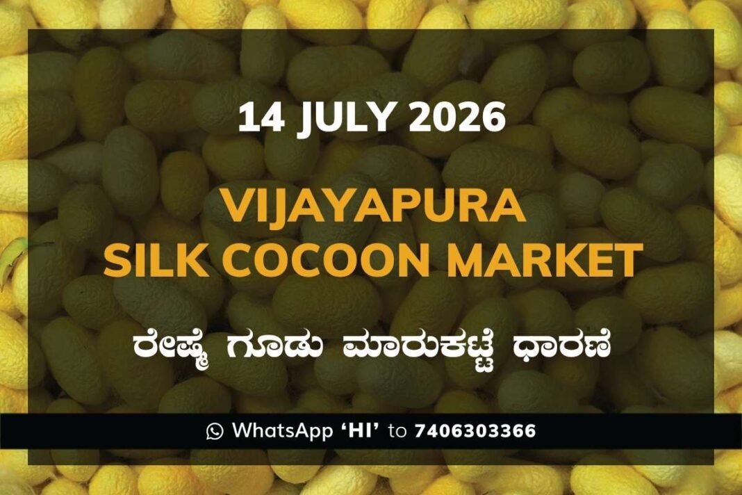 Vijayapura Silk Cocoon Market Rates – 14 July 2026
