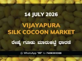 Vijayapura Silk Cocoon Market Rates – 14 July 2026
