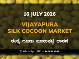 Vijayapura Silk Cocoon Market – 16 July 2026 Vijayapura Silk Cocoon Market Rates – 16 July 2026