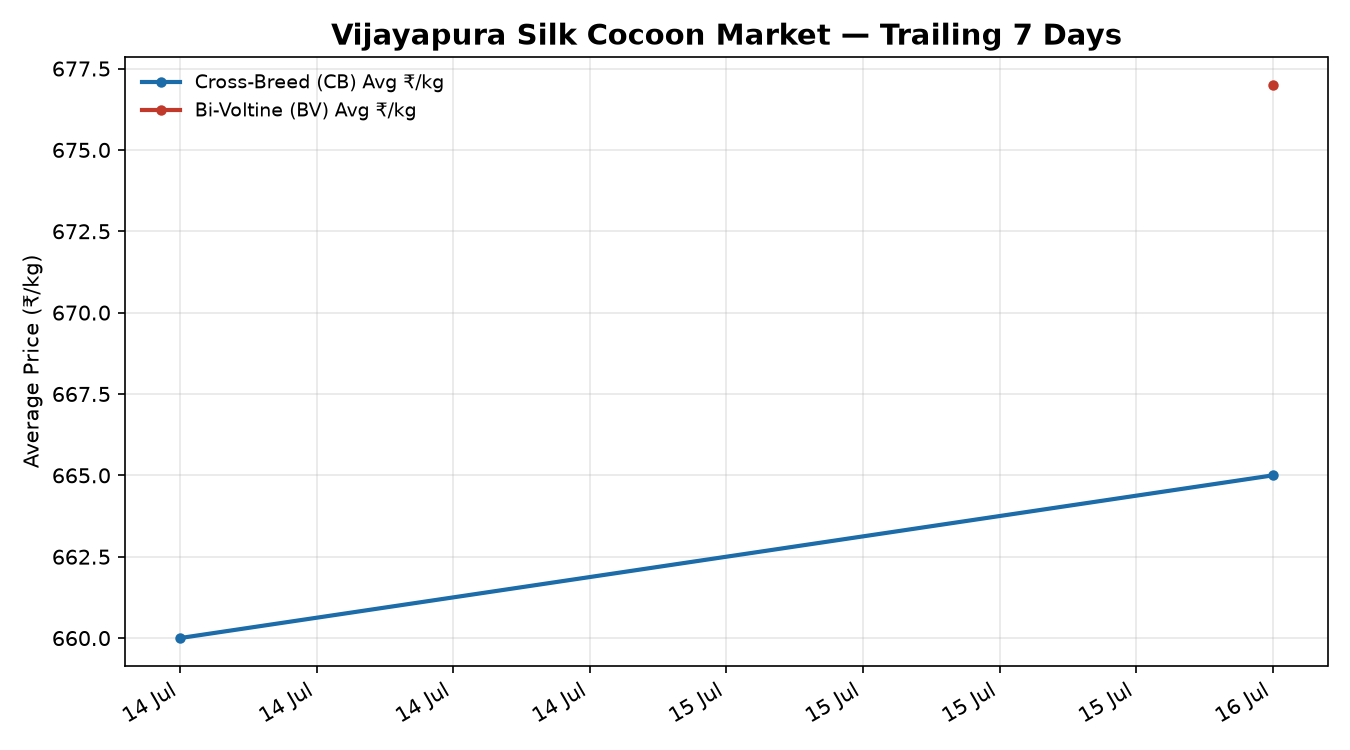 Vijayapura Silk Cocoon Price Trend