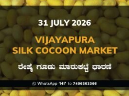 Vijayapura Silk Cocoon Market Rates – 31 July 2026