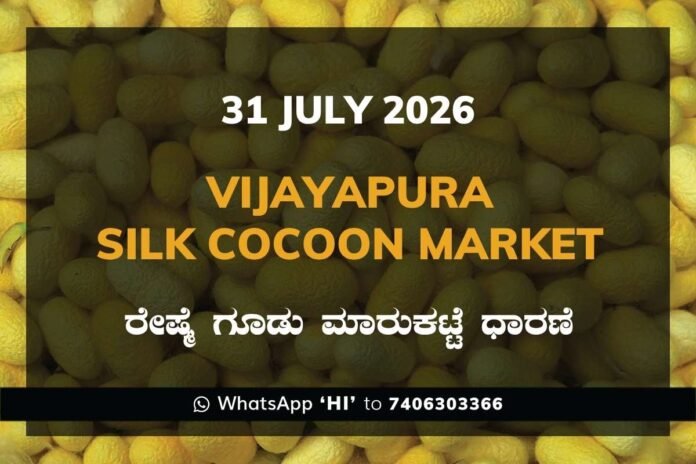 vijayapura-silk-cocoon-market-31-july-2026 Vijayapura Silk Cocoon Market Rates – 31 July 2026