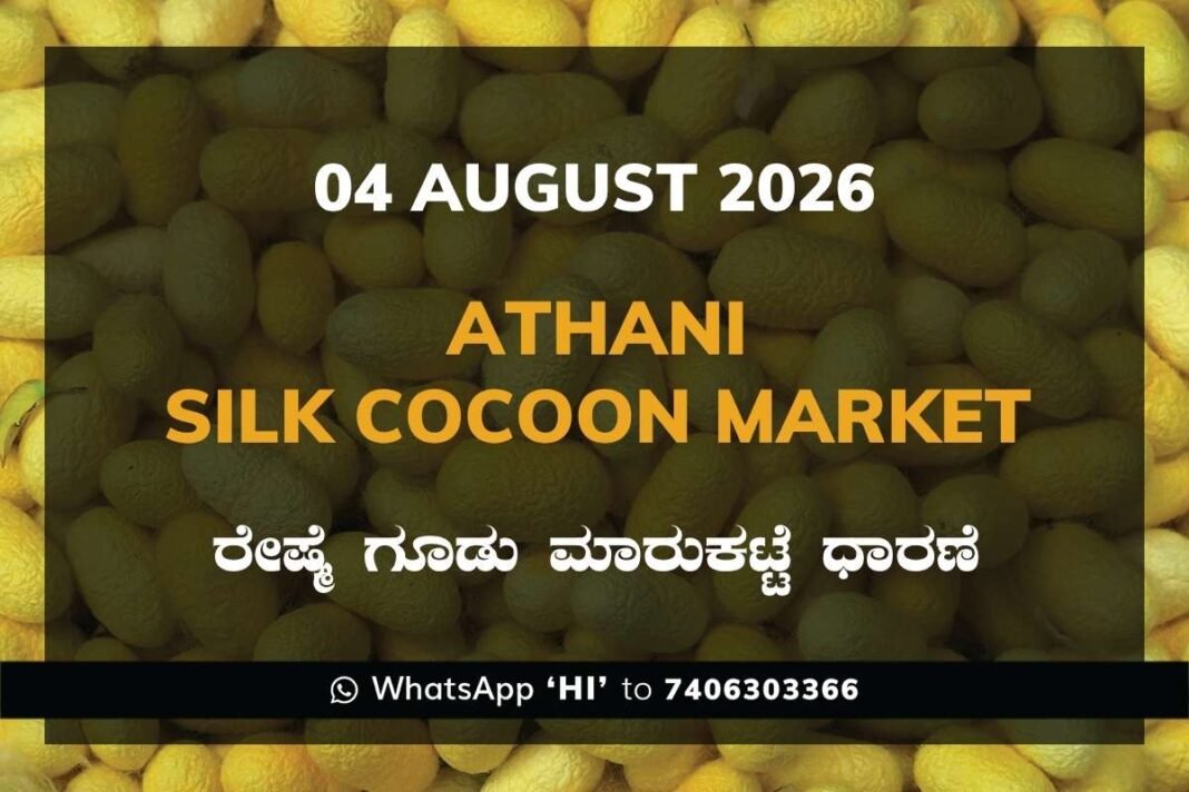 Athani Silk Cocoon Market Rates – 04 August 2026