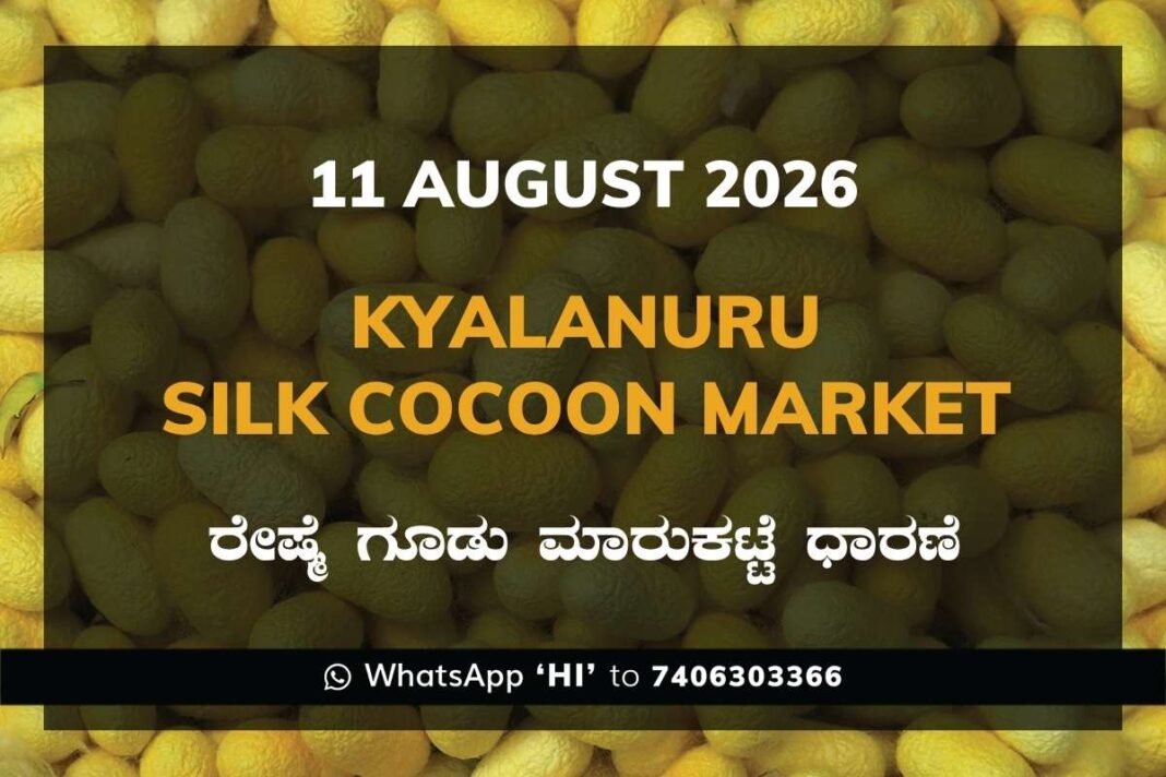 Athani Silk Cocoon Market Rates – 11 August 2026