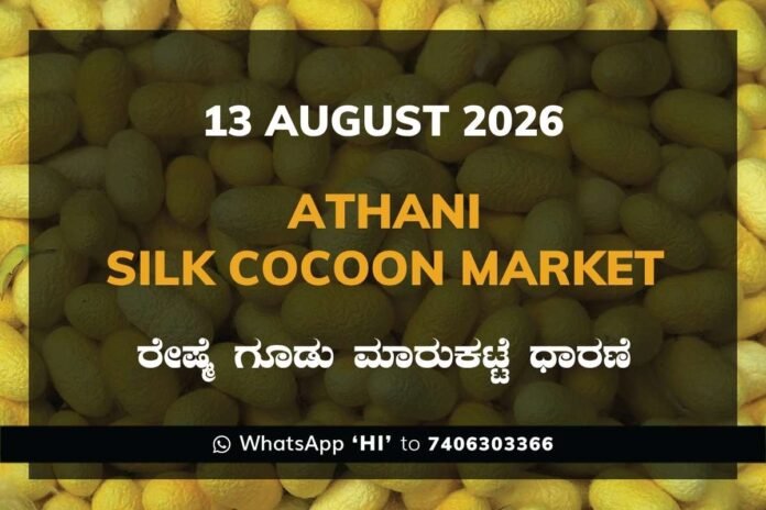 Athani Silk Cocoon Market Rates – 13 August 2026