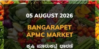 Bangarapet APMC Agriculture Market: 05 August 2026 Bangarapet APMC Market Rates - 05 August 2026