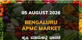 Bengaluru APMC Agriculture Market: 05 August 2026 Bengaluru APMC Market Rates - 05 August 2026