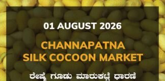Channapatna Silk Cocoon Market – 01 August 2026 Channapatna Silk Cocoon Market Rates – 01 August 2026