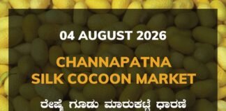 Channapatna Silk Cocoon Market – 04 August 2026 Channapatna Silk Cocoon Market Rates – 04 August 2026
