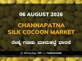 Channapatna Silk Cocoon Market Rates – 06 August 2026