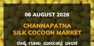 Channapatna Silk Cocoon Market – 06 August 2026 Channapatna Silk Cocoon Market Rates – 06 August 2026