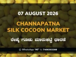 Channapatna Silk Cocoon Market Rates – 07 August 2026