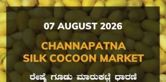 Channapatna Silk Cocoon Market – 07 August 2026 Channapatna Silk Cocoon Market Rates – 07 August 2026