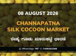 Channapatna Silk Cocoon Market Rates – 08 August 2026