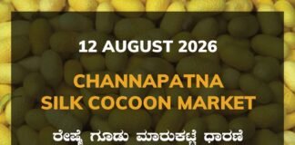 Channapatna Silk Cocoon Market – 12 August 2026 Channapatna Silk Cocoon Market Rates – 12 August 2026